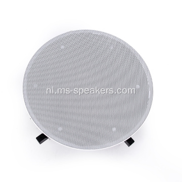 Professional PA System 100V Line Array Plafond Sprekers